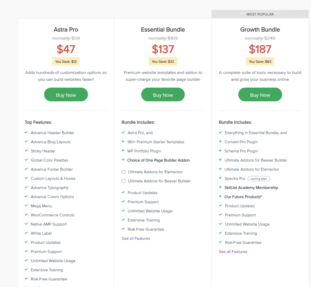 Astra WordPress Theme Pricing Plans