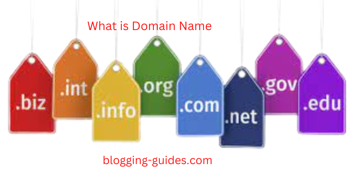 What is a domain name for website